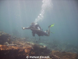 Swimming through the sunlight on the Inside Reef at Laude... by Michael Kovach 